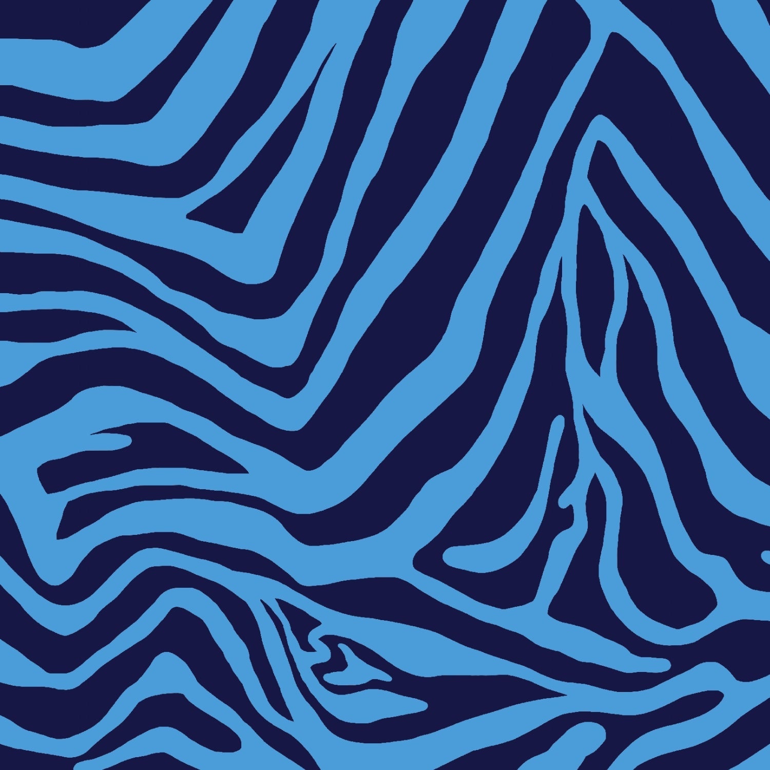 Cecilia Print Long Sleeve Crew Neck – 12932