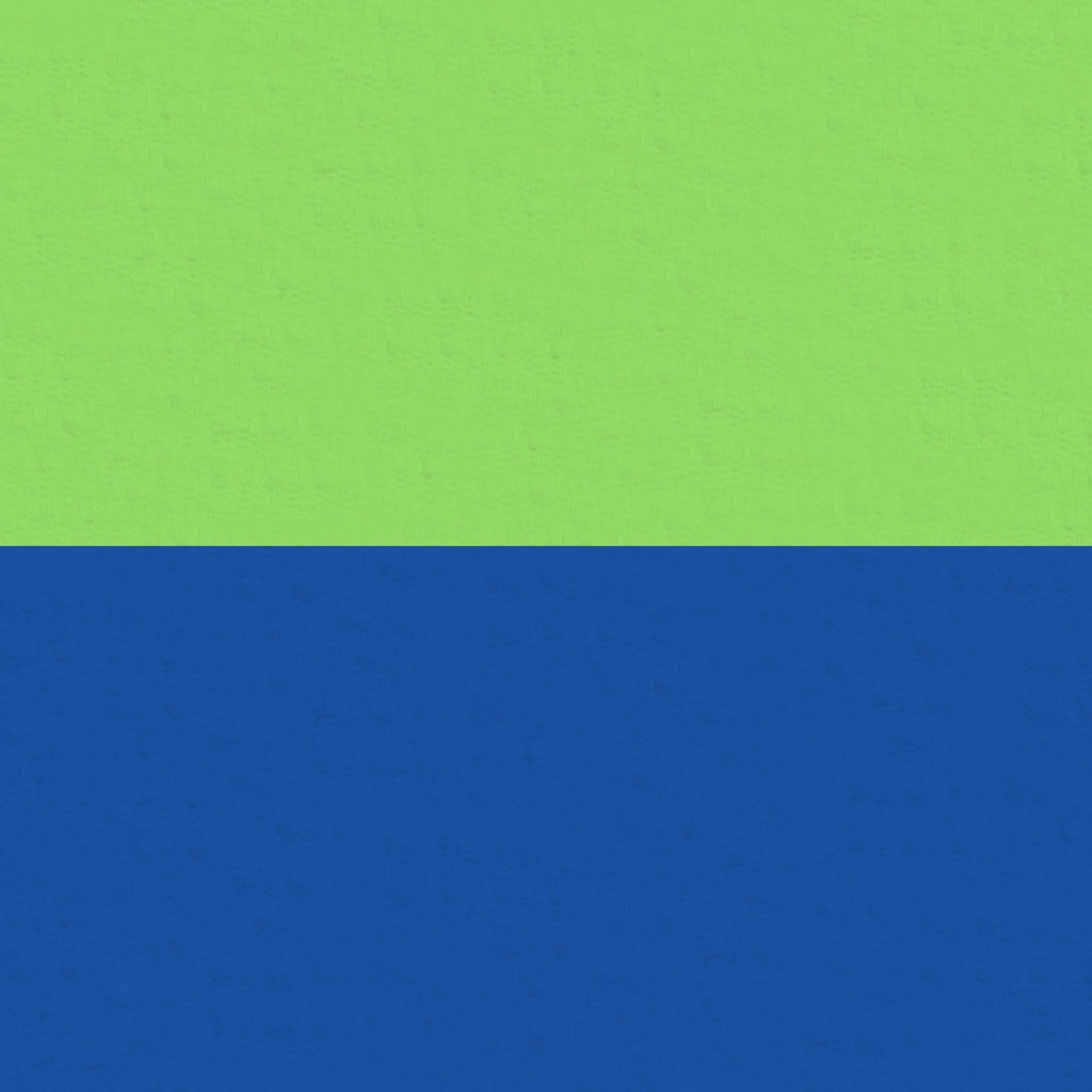 Color Block Print Long Sleeve Mock Neck Top – 10001