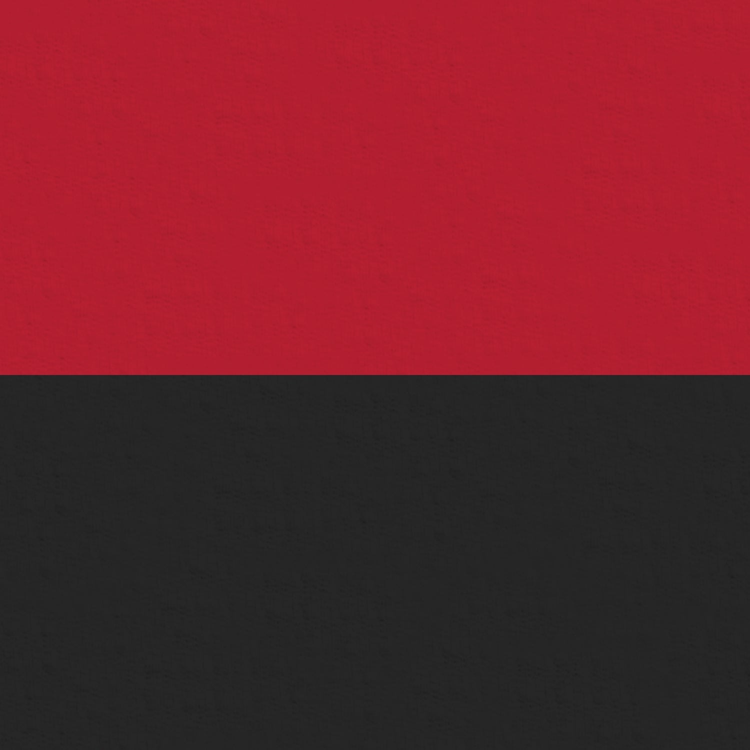 Color Block Print Long Sleeve Mock Neck Top – 10001